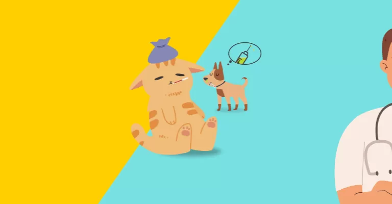 Pet Health and Wellness Quick Guide